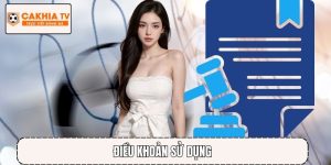 Điều khoản sử dụng – Hiểu rõ quy định nội dung để tránh vi phạm khi truy cập
